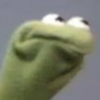 kermit0_0frog